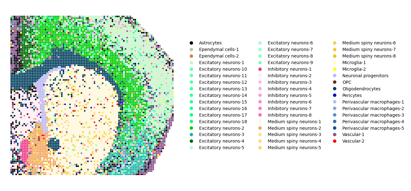 ../_images/notebooks_T2_P22_Mouse_Brain_training_15_0.png